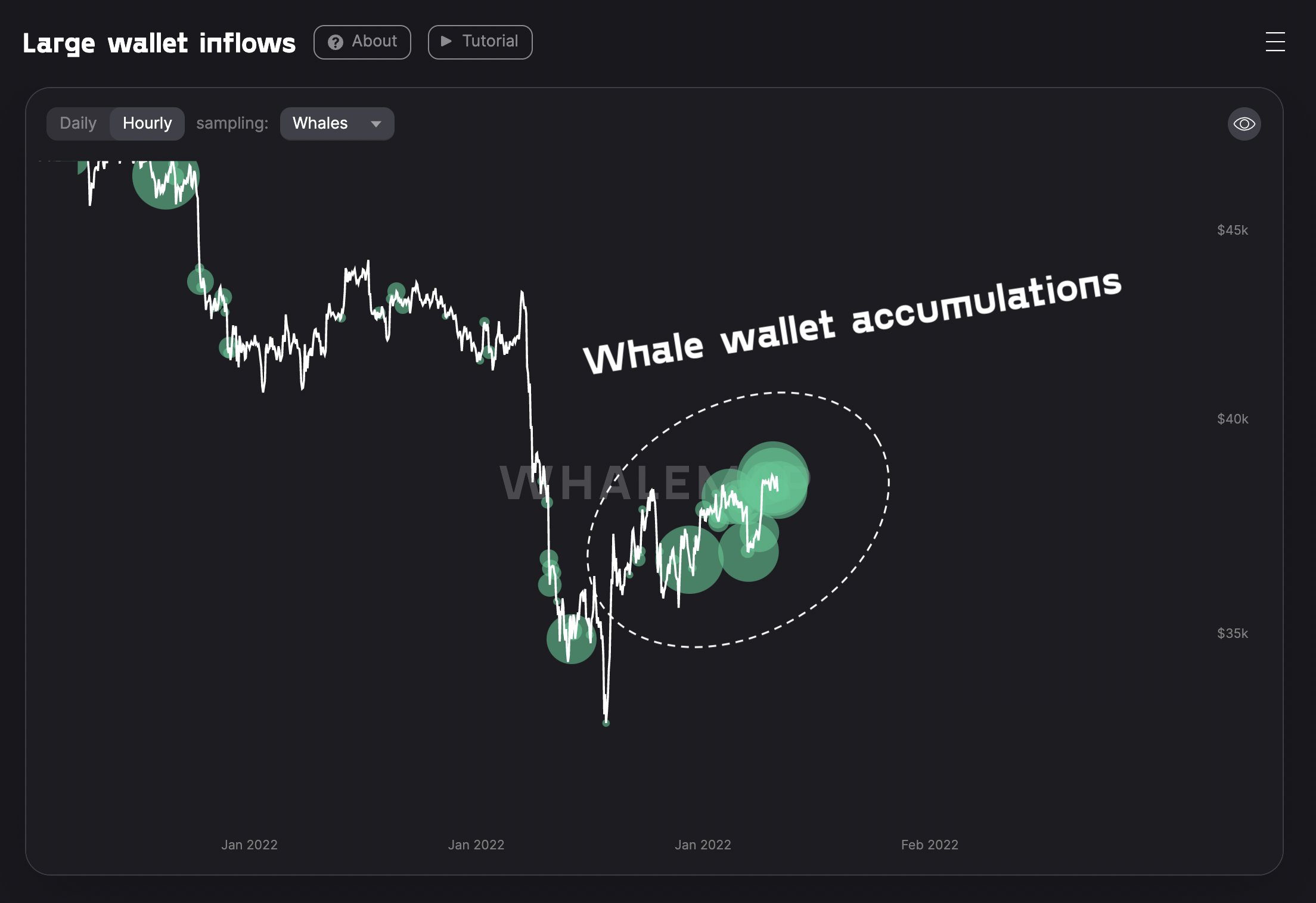 bitcoin whales buying chart